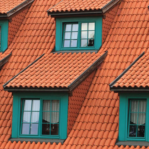 roof-cleaning